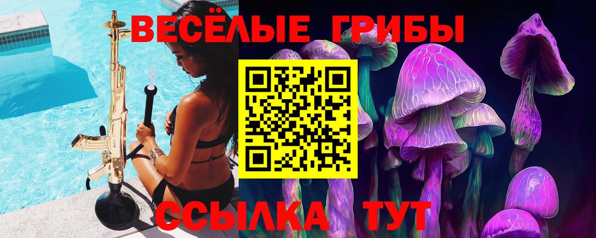 Минусинск  Псилоцибиновые грибы мицелий  Вход с VPN  магазин  наркотиков  Псилоцибиновые грибы Magic Shrooms 
